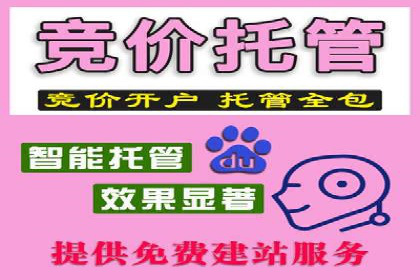 百度推广平台案例集锦：成功案例背后的故事